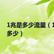 1兆是多少流量（1兆是多少）
