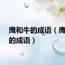 鹰和牛的成语（鹰和牛的成语）