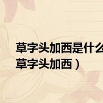 草字头加西是什么字（草字头加西）