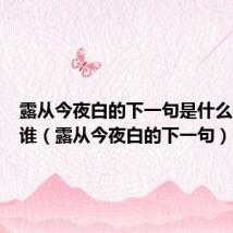 露从今夜白的下一句是什么作者是谁（露从今夜白的下一句）