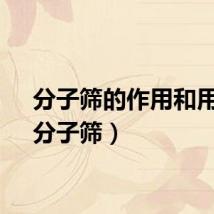 分子筛的作用和用途（分子筛）