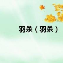 羽杀（羽杀）