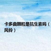 卡多曲颗粒是抗生素吗（卡多雷风铃）