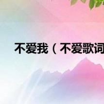 不爱我（不爱歌词）