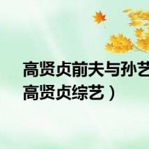 高贤贞前夫与孙艺珍（高贤贞综艺）