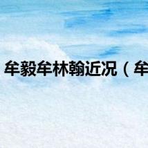 牟毅牟林翰近况（牟毅）