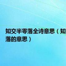 知交半零落全诗意思（知交半零落的意思）