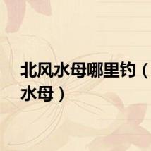 北风水母哪里钓（北风水母）