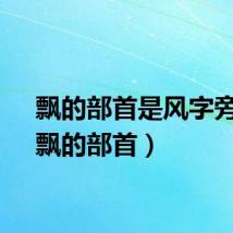 飘的部首是风字旁吗（飘的部首）