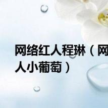 网络红人程琳（网络红人小葡萄）