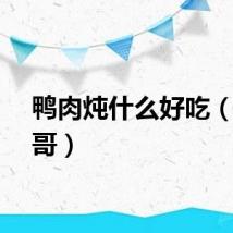 鸭肉炖什么好吃（鸭哥哥）