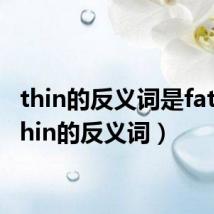 thin的反义词是fat吗（thin的反义词）