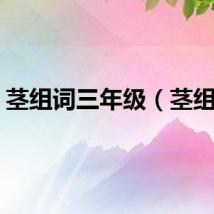 茎组词三年级（茎组词）