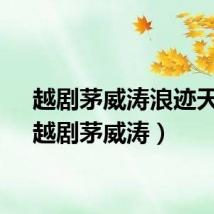 越剧茅威涛浪迹天涯（越剧茅威涛）