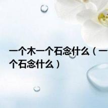 一个木一个石念什么（一个木一个石念什么）