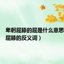 卑躬屈膝的屈是什么意思（卑躬屈膝的反义词）
