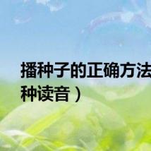 播种子的正确方法（播种读音）
