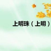 上明珠（上明）
