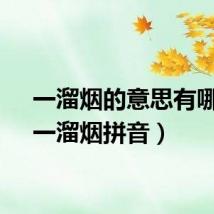一溜烟的意思有哪些（一溜烟拼音）