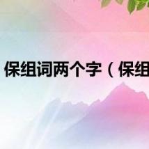 保组词两个字（保组词）