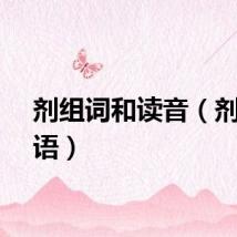 剂组词和读音（剂组词语）