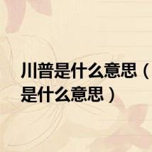 川普是什么意思（川普是什么意思）