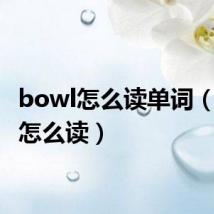 bowl怎么读单词（bowl怎么读）