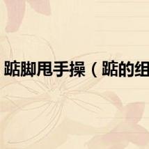 踮脚甩手操（踮的组词）