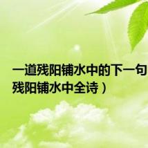 一道残阳铺水中的下一句（一道残阳铺水中全诗）