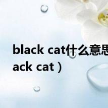 black cat什么意思（black cat）
