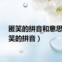 匿笑的拼音和意思（匿笑的拼音）