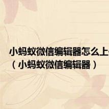 小蚂蚁微信编辑器怎么上传视频（小蚂蚁微信编辑器）