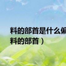 料的部首是什么偏旁（料的部首）