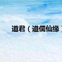 道君（道儒仙缘）