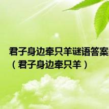 君子身边牵只羊谜语答案是什么（君子身边牵只羊）
