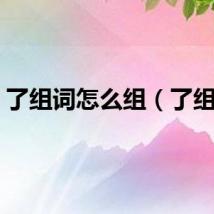 了组词怎么组（了组词）
