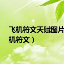 飞机符文天赋图片（飞机符文）