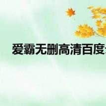爱霸无删高清百度云