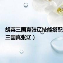 胡莱三国真张辽技能搭配（胡莱三国真张辽）