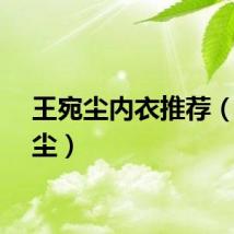 王宛尘内衣推荐（王宛尘）