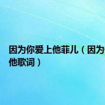 因为你爱上他菲儿（因为你爱上他歌词）