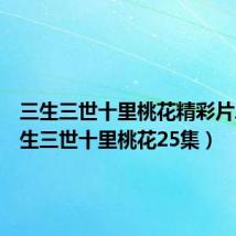 三生三世十里桃花精彩片段（三生三世十里桃花25集）