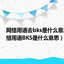 网络用语去bks是什么意思(网络用语BKS是什么意思)