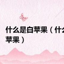 什么是白苹果（什么是白苹果）