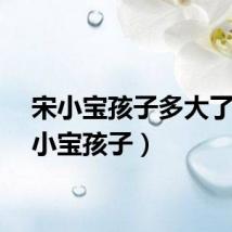 宋小宝孩子多大了（宋小宝孩子）