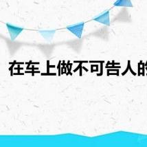 在车上做不可告人的事