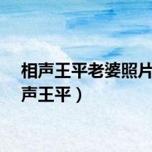相声王平老婆照片（相声王平）