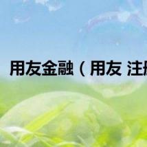 用友金融（用友 注册）