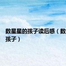 数星星的孩子读后感（数星星的孩子）