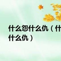 什么怨什么仇（什么怨什么仇）